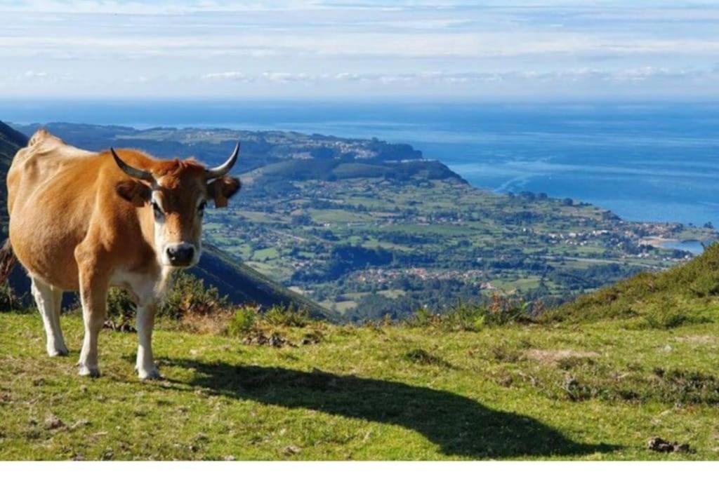 Casa Todah, Playas Y Montanas Duesos Экстерьер фото